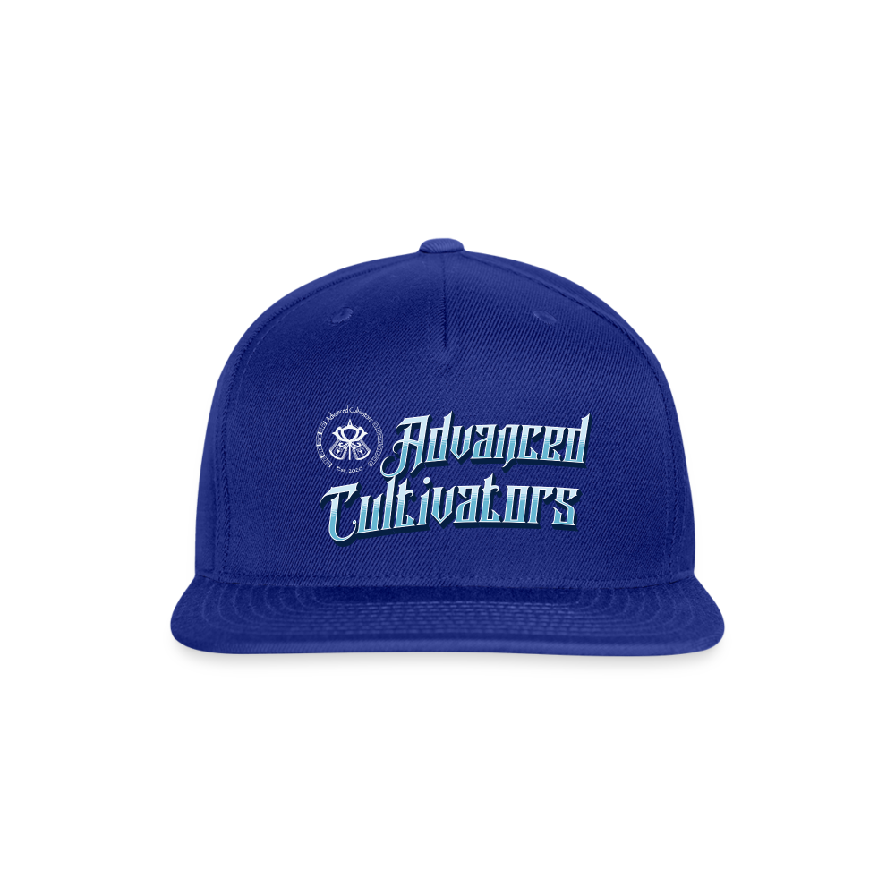 Advanced Cultivators basic baseball cap - royal blue
