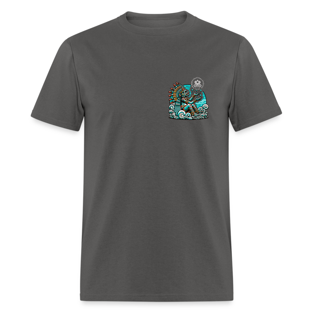 Unisex Classic T-Shirt - charcoal