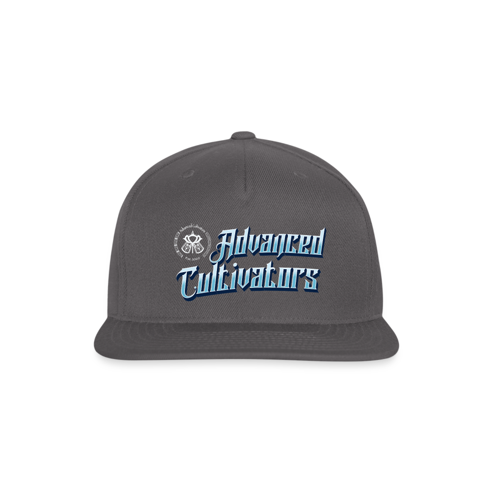 Advanced Cultivators basic baseball cap - dark grey