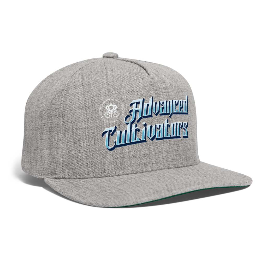 Advanced Cultivators basic baseball cap - heather gray