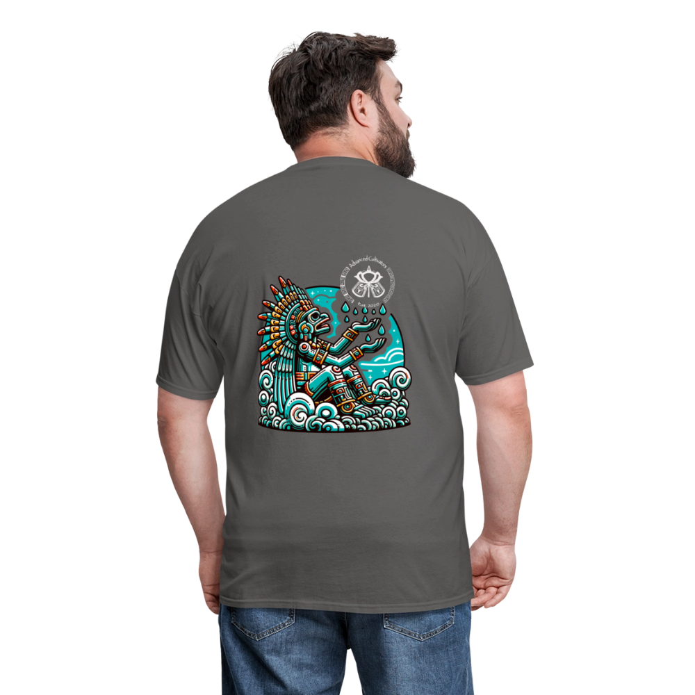 Unisex Classic T-Shirt - charcoal