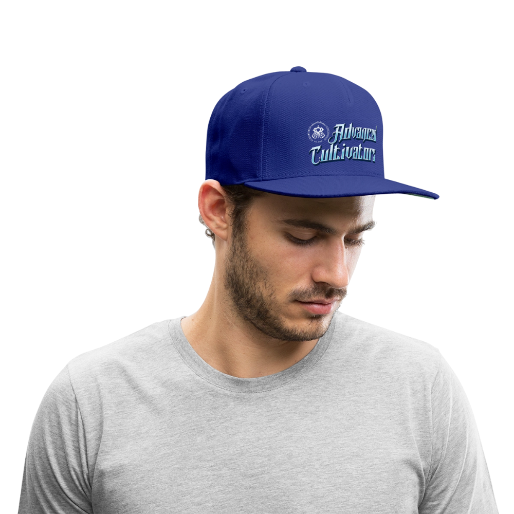 Advanced Cultivators basic baseball cap - royal blue