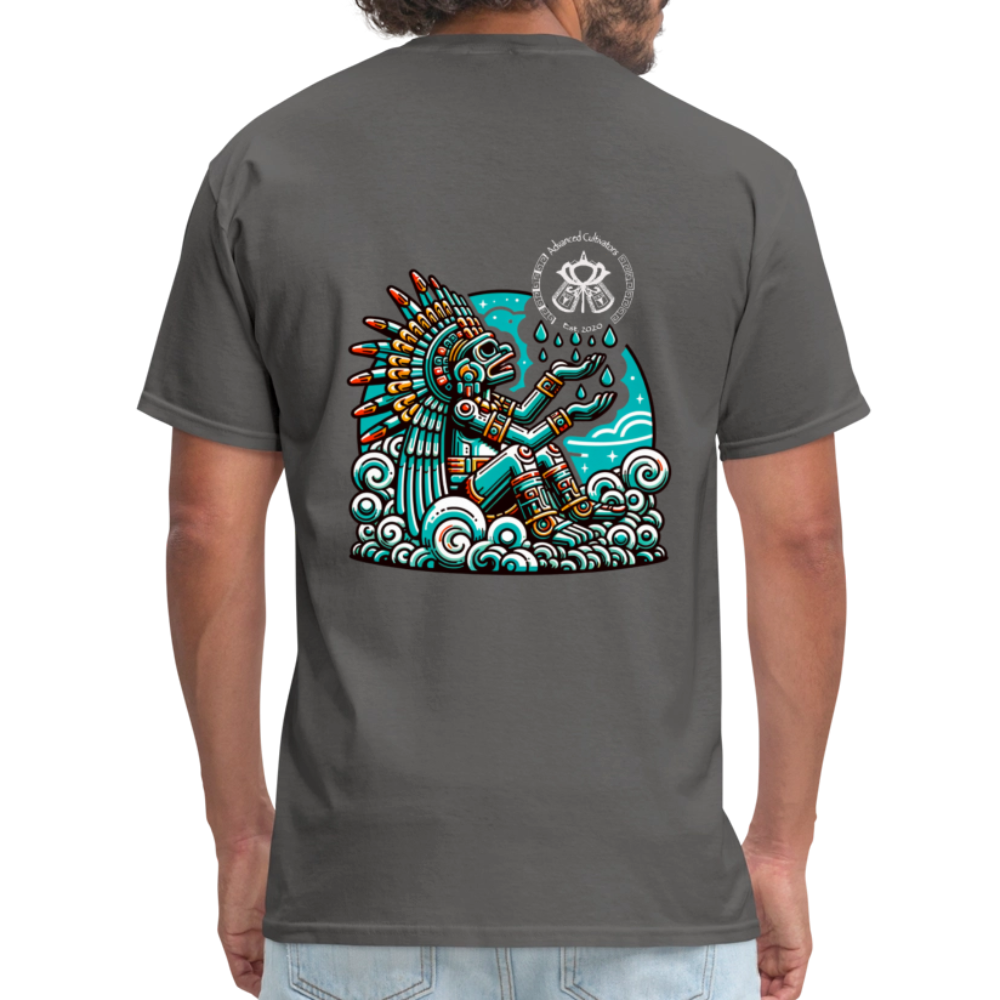 Unisex Classic T-Shirt - charcoal