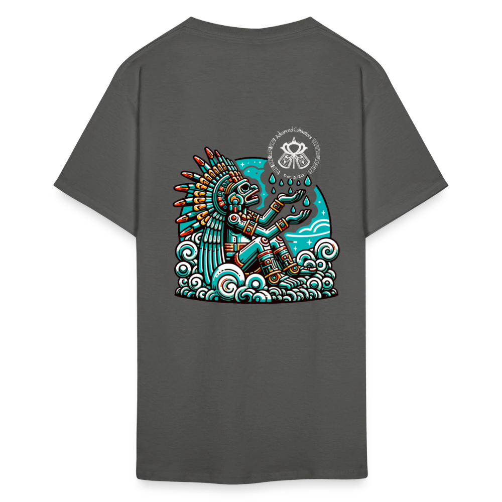 Unisex Classic T-Shirt - charcoal