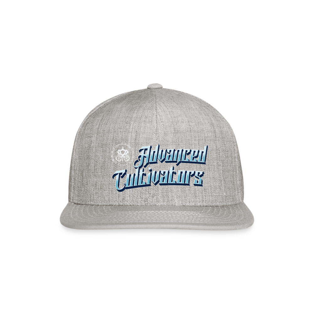 Advanced Cultivators basic baseball cap - heather gray
